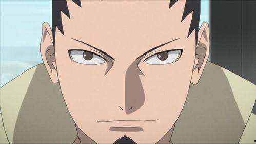 忍界鹿丸爆料视频大全集,揭秘忍者世界背后的秘密与真相 第2张 忍界鹿丸爆料视频大全集,揭秘忍者世界背后的秘密与真相 第2张